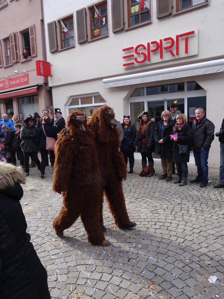 2017 RammertBären Rottenburg e.V.